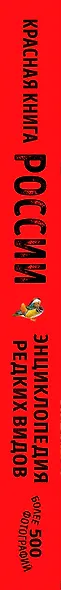 Красная книга России: животные, растения, птицы, насекомые. Энциклопедия редких видов - фото 13