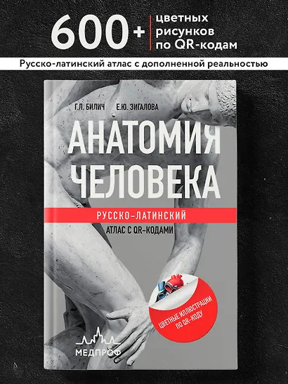 Анатомия человека: Русско-латинский атлас с QR-кодами на цветные изображения - фото 4