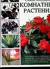 Самые популярные комнатные растения: Новейшая энциклопедия - фото 1