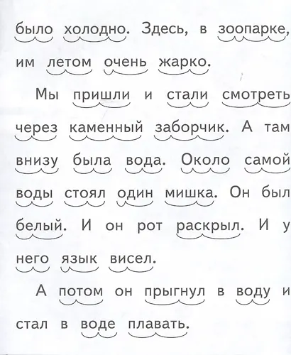 Про белых мишек. Что я видел? - фото 5
