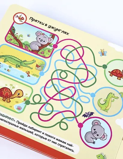 Липучки. Кто моя мама? - фото 3