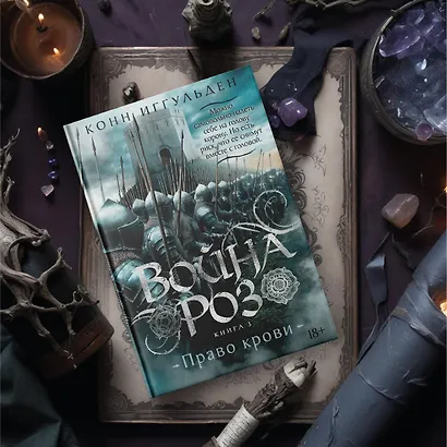 Война роз. Книга 3. Право крови - фото 11
