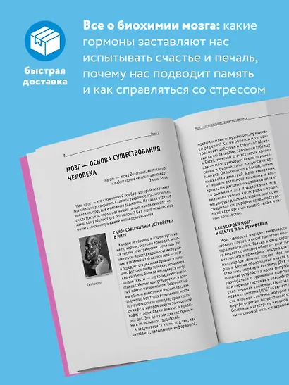 Гормоны и химия мозга - фото 5