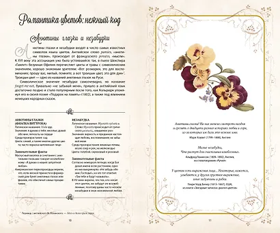 Тайный язык цветов - фото 4