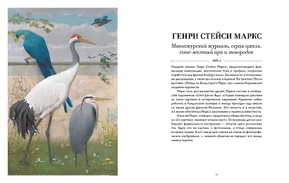 Такие разные ПТИЦЫ в произведениях искусства - фото 3