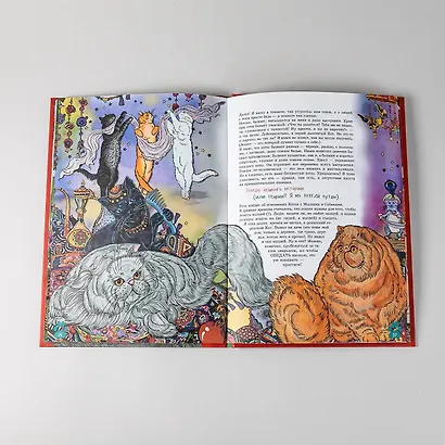 Я кот - фото 15