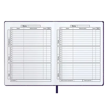 Дневник школьный Феникс+, "Волшебный кот" - фото 7