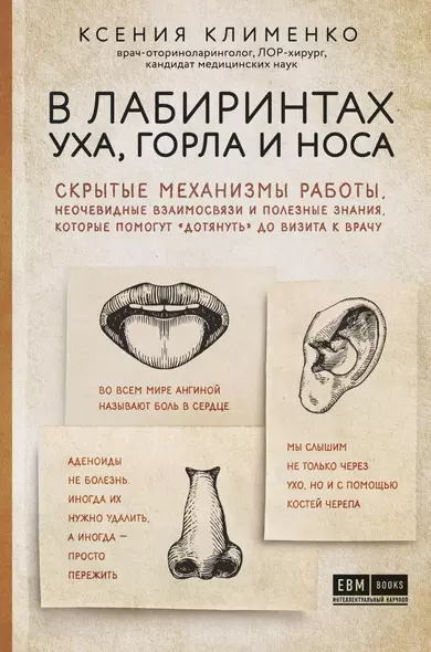 В лабиринтах уха, горла и носа. Скрытые механизмы работы, неочевидные взаимосвязи и полезные знания, которые помогут "дотянуть" до визита к врачу - фото 1