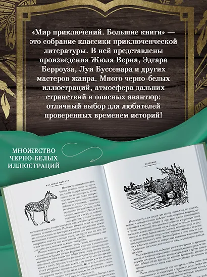 Земля Санникова. Плутония - фото 6