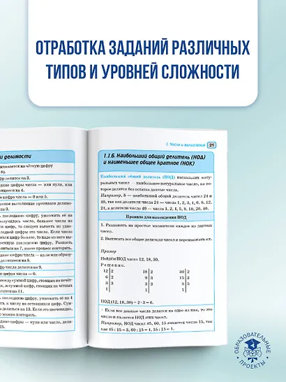 ОГЭ. Математика в инфографике - фото 6