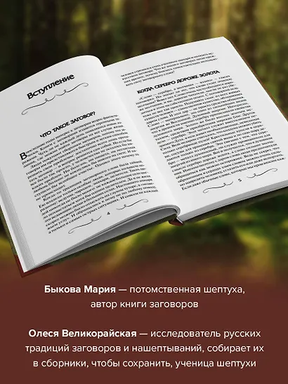 Книга старинных нашептываний. Как просить, чтобы дано было. Сильные заговоры бабки-шептухи на деньги, здоровье, удачу, любовь, счастье - фото 5
