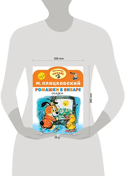 Ромашки в январе - фото 3