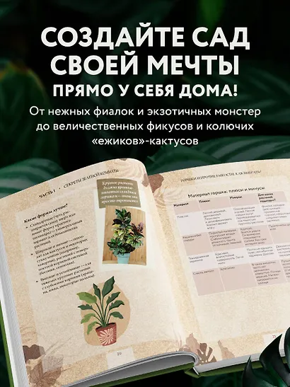 Зеленая комната. Как стать повелителем домашних джунглей - фото 5