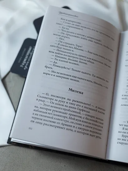 Украденные прикосновения: Книга 5 - фото 13