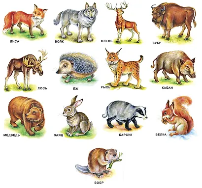 Карточки "Дикие животные". - фото 2