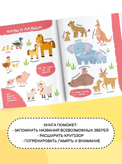 Животные - фото 6