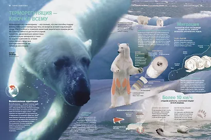 Тайны животных. Большая иллюстрированная энциклопедия - фото 11