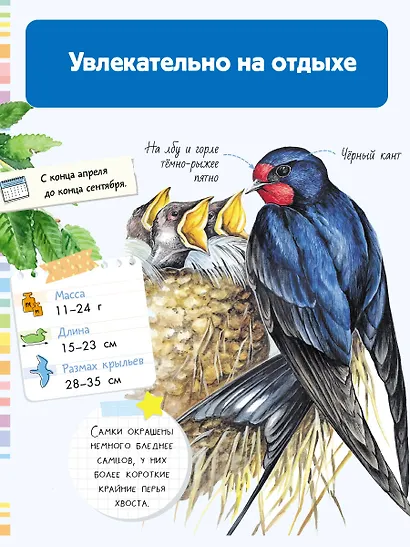 Птицы - фото 8