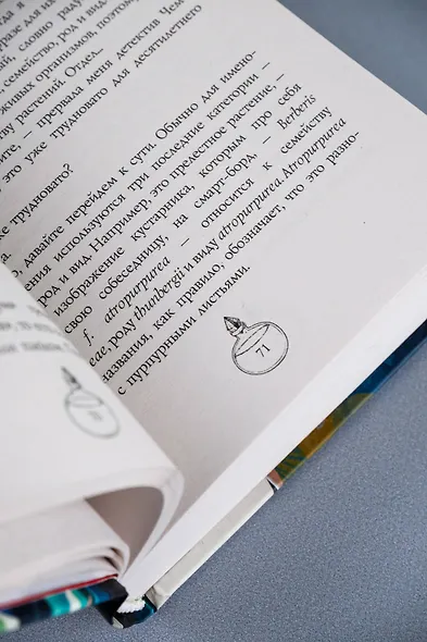 Адские колокола - фото 11