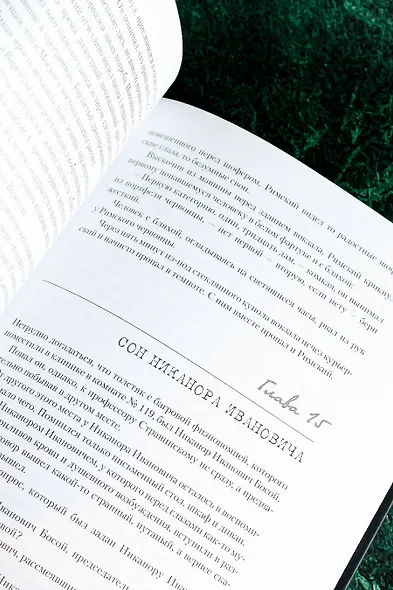 Мастер и Маргарита с иллюстрациями Геннадия Калиновского - фото 12