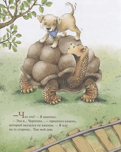 Малыш идет в зоопарк - фото 5