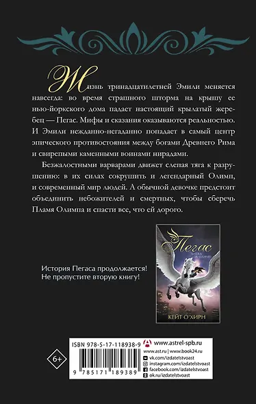 Пегас. Пламя Олимпа - фото 2