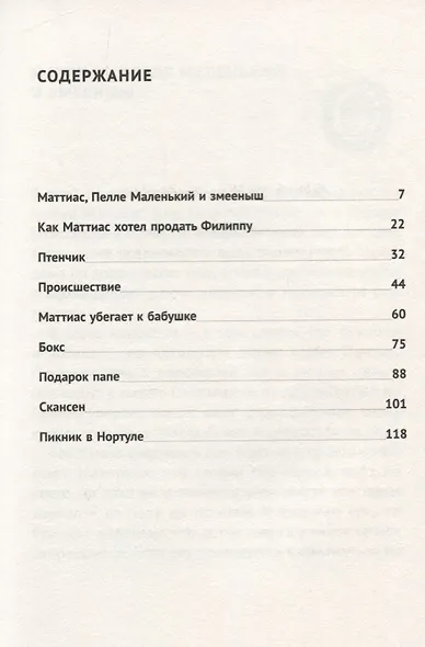 Лето Маттиаса - фото 2