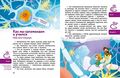 Как устроен мозг. Детская энциклопедия (Чевостик) (Paperback) - фото 10