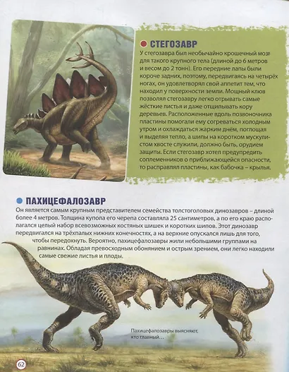 Динозавры на планете Земля. Детская энциклопедия - фото 3