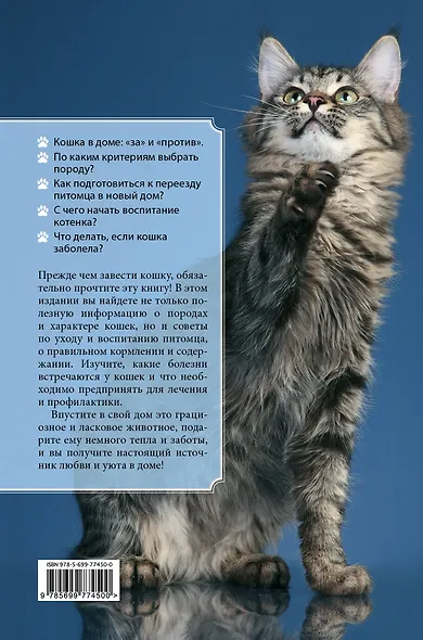 Все о кошках - фото 2