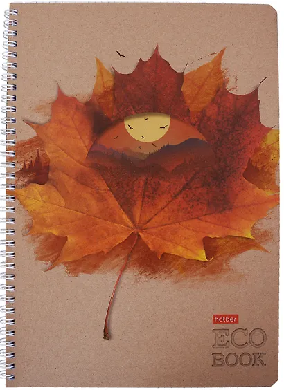 Тетрадь в клетку Hatber, "Экобук", А4, 96 листов, в ассортименте - фото 5