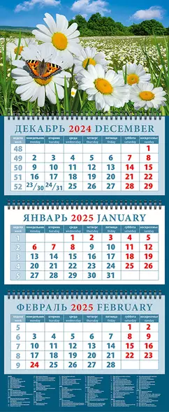 Календарь квартальный 2025г 320*760 "Ромашки и бабочка" настенный, трёхблочный, спираль - фото 1