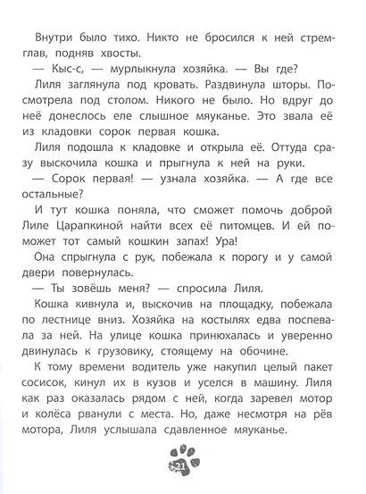 41-я кошка - фото 5