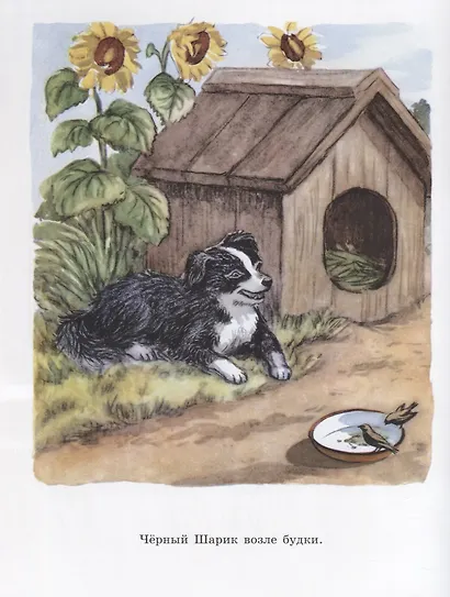 Мой мишка. Лучшее детям. 2-5 лет - фото 4