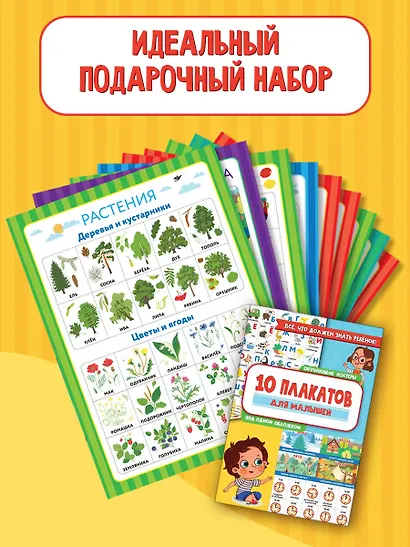 10 обучающих плакатов для малышей под одной обложкой - фото 4