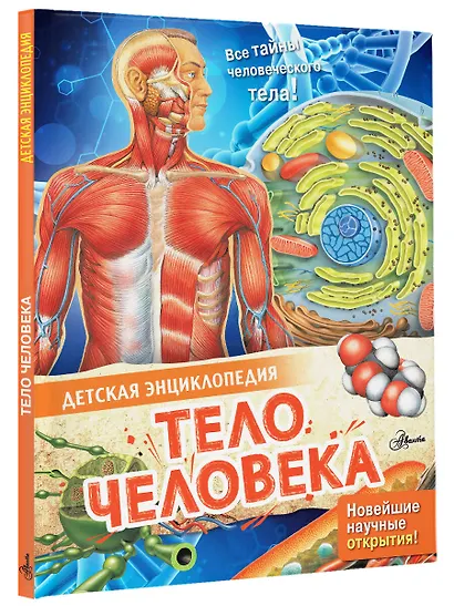 Тело человека - фото 3
