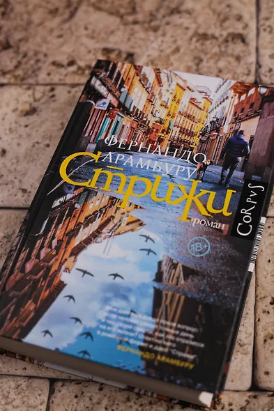 Стрижи - фото 6