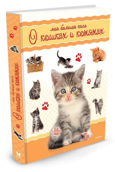Моя большая книга о кошках и котятах - фото 2