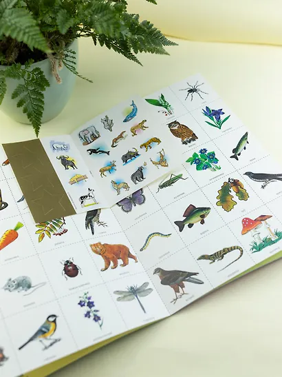 Экология для малышей. Для занятий с детьми от 6 до 7 лет - фото 5