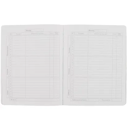 Дневник школьный Феникс+, "Кот" - фото 2