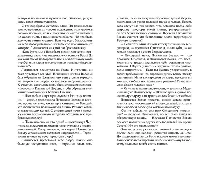 Четвертый оруженосец - фото 8