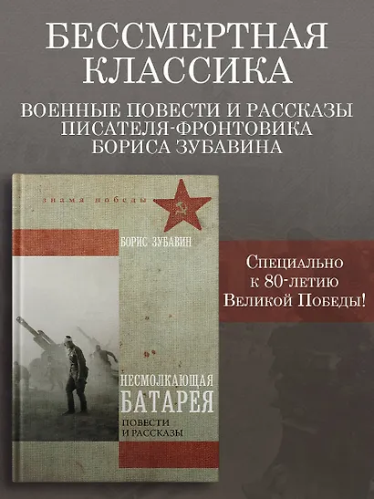 Несмолкающая батарея - фото 4