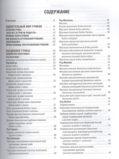 Грибы Полная илл. энциклопедия Более 400 видов грибов... (Куреннов) - фото 2