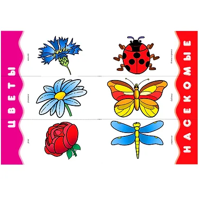 Школа Семи Гномов. Стартовый набор. 1+ - фото 10