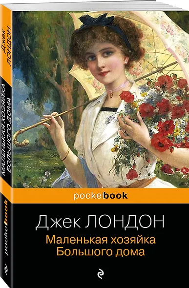 Маленькая хозяйка Большого дома - фото 3