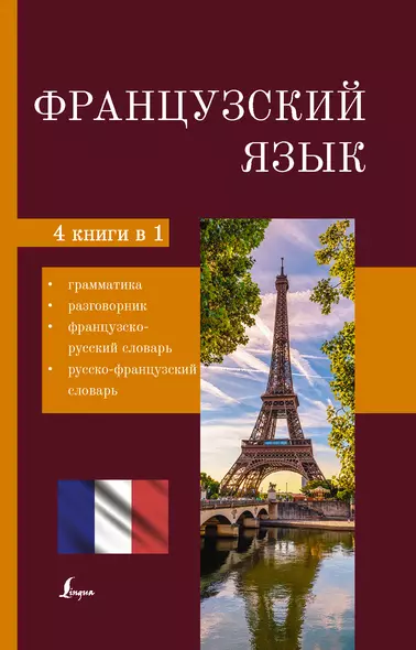 Французский язык. 4 в 1: грамматика, разговорник, французско-русский словарь, русско-французский словарь - фото 1