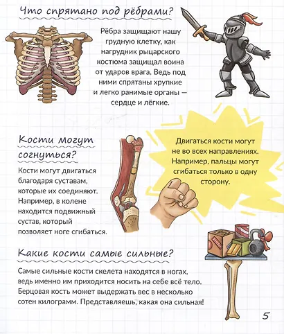 Тайны твоего тела. Энциклопедия для детей - фото 3