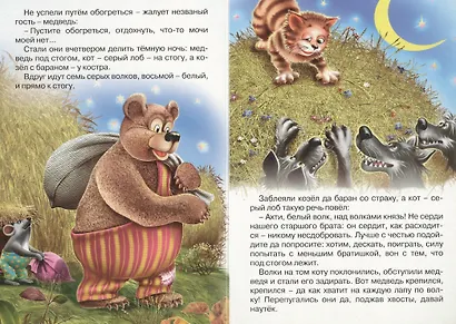 Кот серый лоб, козел, баран - фото 4