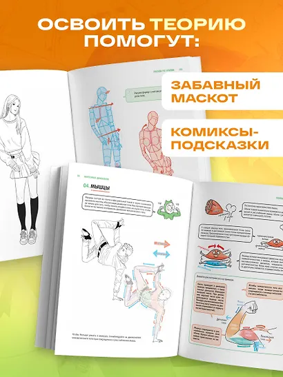 Анатомия движения. Полное руководство по рисованию тела человека для начинающих - фото 6