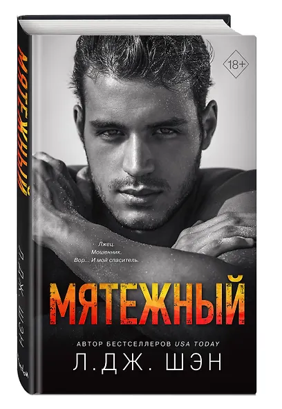 Святые Грешники. Мятежный (#4) - фото 3